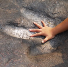 Childs hand within dinosaur footprint 